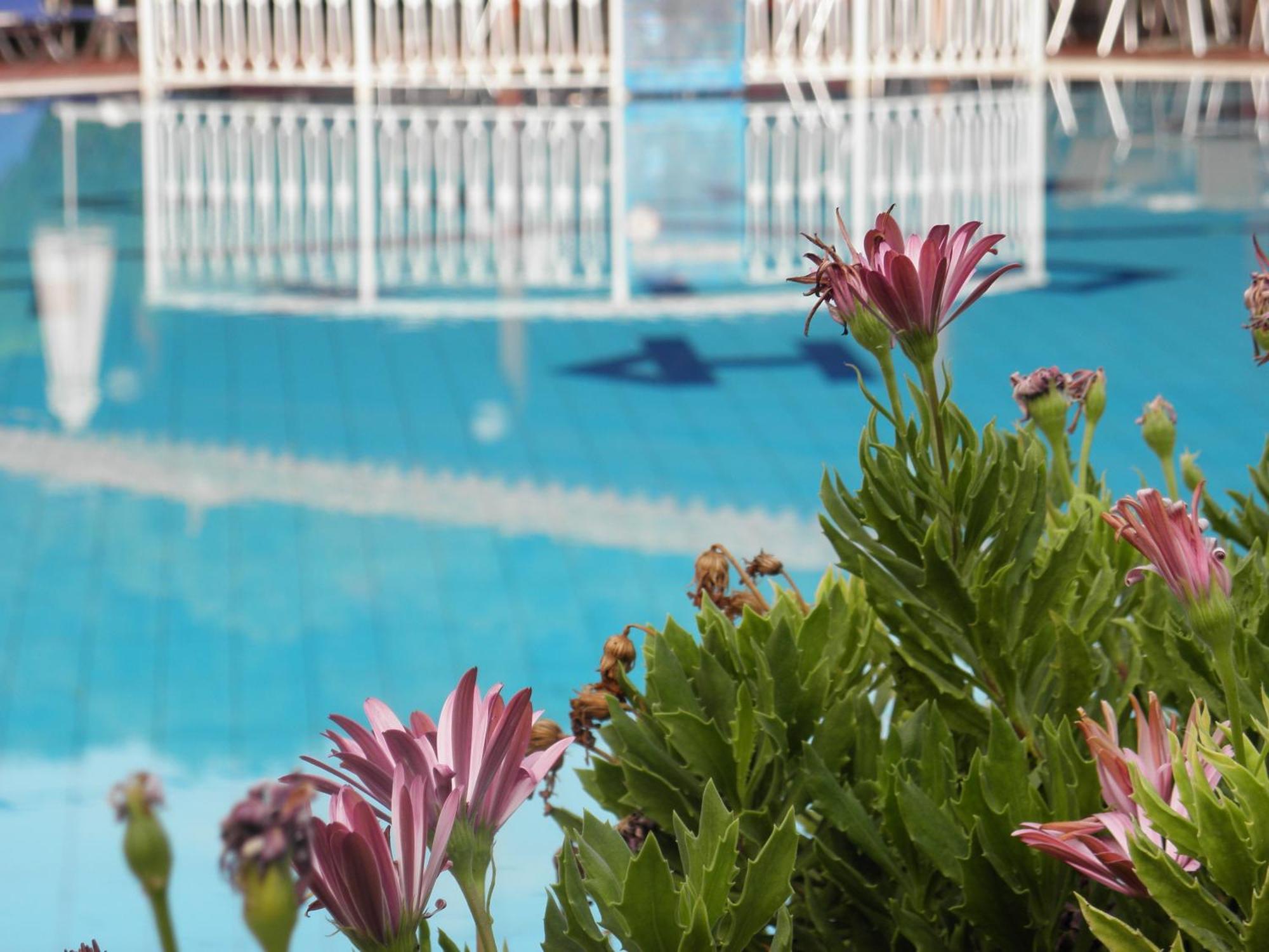 Hotel Petros ซีลีวี ภายนอก รูปภาพ